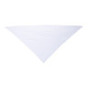 Dye-Sublimated Pet Bandana