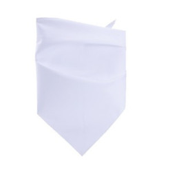 Blank