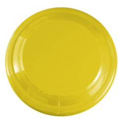 High Flyer 9" Flyer Disk