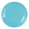 Light Blue Blank