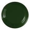 Dark Green Blank