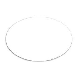 Large Oval Magnet 2 x 3