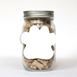 Pint Jar with Paw Magnet Pet Fill