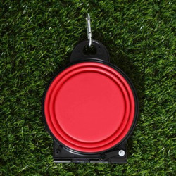 Dual Collapsible Pet Bowl