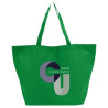 B208_green_bag_full.png