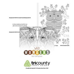 Good Value™ Wild Wonders Adult Coloring Book