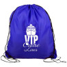 DS17R_blue_bag_1c.png