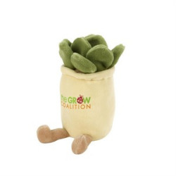 70003 succulent angled image