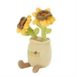 70003 sunflower angled image