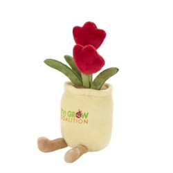 70003 tulip angled image