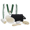 41283_forest_all-accessories_fc.jpg