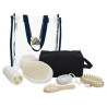 41283_navy_all-accessories_fc.jpg