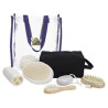 41283_purple_all-accessories_fc.jpg