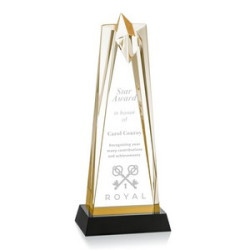 Shooting Star Award