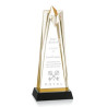Shooting Star Award