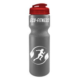 WB28CU_silver_bottle_translucentred_lid_1c.png