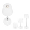 20134 WHT Digibrite