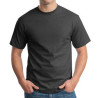 Hanes Men's Authentic-t T-shirt
