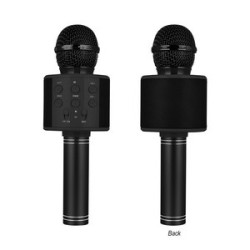 Perfect Pitch Karaoke Microphone