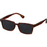 SM-7974TORTFront