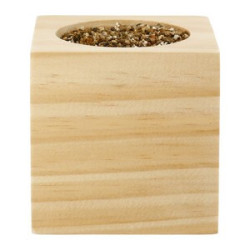 Sprigbox Cilantro Grow Kit