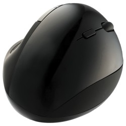 Wireless Ergonomics Optical Mouse