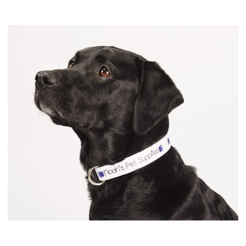 Full Color 1'' Wide Adjustable Pet Collar