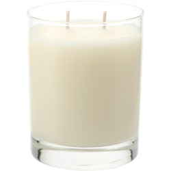 Seventh Avenue Apothecary Ocean Mist and Moss 11 oz Glass Jar Candle