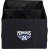 Recycled Trunk Organizer