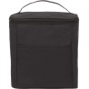 Double Lined 9 Can Cooler