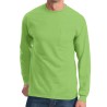 PC61LSPT Lime