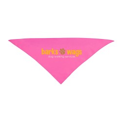 80031 PNK Colorbrite