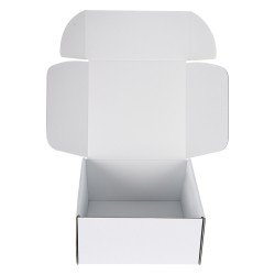 MAILER BOX 116 WHT Open