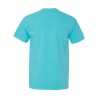 6030CC lagoon back