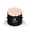 93921 BLKBOX BLUSH Silkscreen