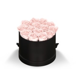 93921 BLKBOX BLUSH