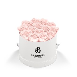 93921 WHTBOX BLUSH Silkscreen