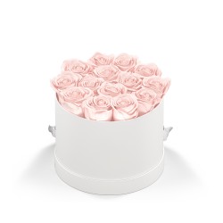 93921 WHTBOX BLUSH