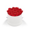 93921 WHTBOX RED