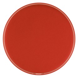 2882 RED Blank