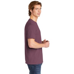 C1717 berry model side 012019