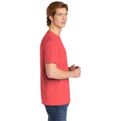 C1717 watermelon model side 012019