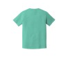 C1717 chalkymint flat back