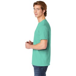 C1717 chalkymint left 012019