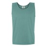 C9360 SEAFM Blank