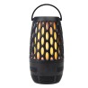 25237 BLK Light