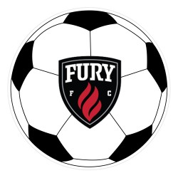 Round Sticker - Bumper