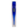 Digital Thermometer
