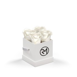 93922 WHTBOX WHT Silkscreen