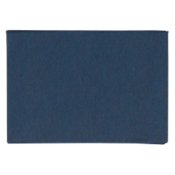 1341 BLU
